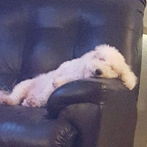 Meet your Posher, Vickie